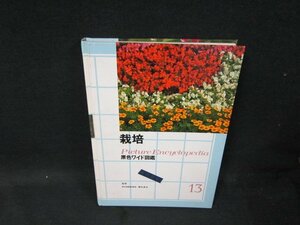 原色ワイド図鑑13　栽培　箱無シミテープ留有/TFZL
