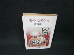 雪の北国から　渡辺淳一　中公文庫　日焼け強め/UBZC