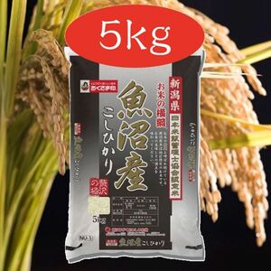 定価4244円 お歳暮 高級 三越ギフト 幸南食糧 おくさま印 精米 新潟県 魚沼産 こしひかり 5kg 令和5年産 精米日 2024.4月中旬 新米 伊勢丹