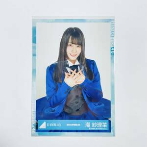 日向坂46 潮紗理菜 2019 Spring 座り スワリ 生写真