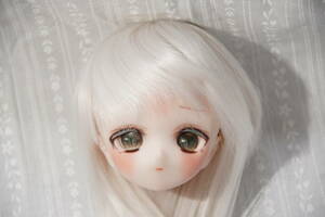 Art hand Auction DDH-01 Semi-white (SW) skin custom head with eyes and wig DD VOLKS Dollfie Dream Volks, doll, Character Doll, Dollfie Dream, parts