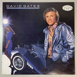 32648【プロモ盤★美盤】【日本盤】 David Gates / Falling In Love Again