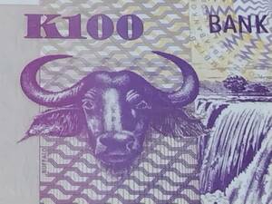ザンビア 100 Kwacha札 コレクション向きの新札 2006年 甘い未使用～未使用マイナス 水牛 #CK/03 3884201 