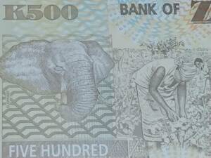 ザンビア 500 Kwachaポリマー札 コレクション向きの新札 2009年 未使用 ゾウ　#DO/03　4827912 