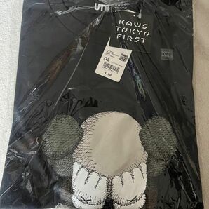 Kaws Graphic Tee Gray KAWS TOKYO FIRST