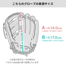 【新品 (高校野球対応)】 ウィルソン 硬式グローブ / 外野手用 (Wilson グラブ) 無料型付け[NE96|管理コード:001-01]_画像6