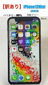 【新品同様訳あり】iPhone12Mini　256GB　SIMフリー　バッテリー100％