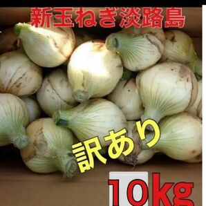 新玉ねぎ淡路訳あり１０キロ