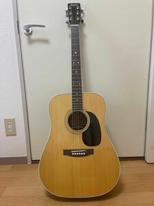 Aria W-200 Japan Vintage(1970年代半ば製造) 