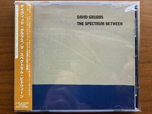 美品 国内盤 David Grubbs THE SPECTRUM BETWEEN CD 帯付 Daniel Carter, Noel Akchote, John McEntire… / US Indie, Avant-Folk