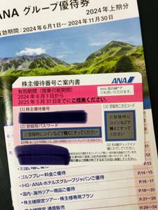 U－5☆彡　送料無料　ＡＮＡ株主優待券　１枚　2025年　5月31日迄有効　グループ優待券１枚