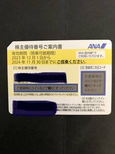 Uー４☆彡　送料無料　ANA　株主優待券　１枚　2024年11月30日迄有効