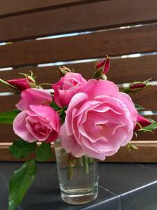  примерно 40cmyueyue крыло 522-1 Old rose возврат .. цветок имеется хороший другой растения . включение в покупку возможность ( необходимо сообщение роза 