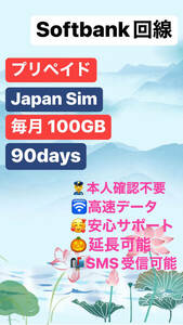 【 毎月100GB （初月無料+3ヶ月プラン）（合計 400GB）】Softbank回線 日本国内 データ通信SIMカード DATA SIM ★送料無料★