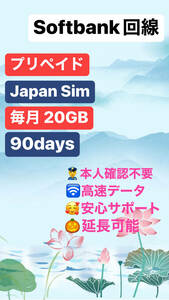 【 毎月20GB （初月無料+3ヶ月プラン）（合計 80GB）】Softbank回線データ SIM・日本国内 データ通信SIMカード DATA SIM ★送料無料★