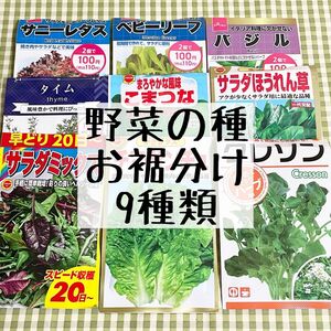 野菜の種 お裾分け 9種類 各15粒＋α