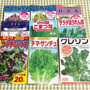 野菜の種 お裾分け 12種類 各20粒＋α