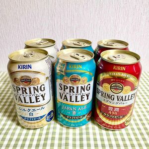 キリン スプリングバレー クラフトビール 缶ビール 350ml 合計6本