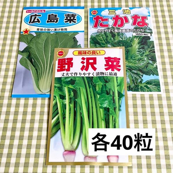 漬け物に 野菜の種 お裾分け 広島菜・たかな・野沢菜 各40粒＋α