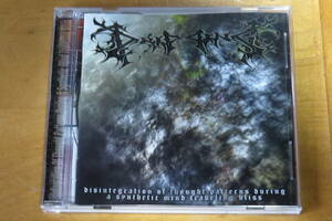 DRIPPING/Disintegration Of Thought Patterns During A Synthetic Mind Traveling Bliss 輸入盤 US産スラミング・ブルデス