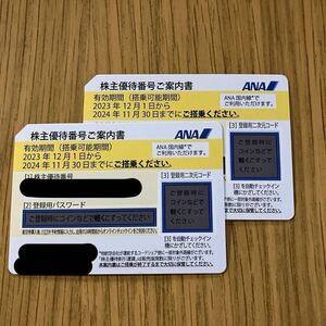 ANA 株主優待券 全日空 2枚セット　チケット