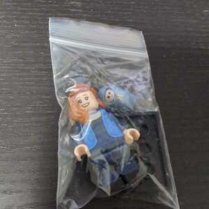 LEGO Lego mini figure Harry *pota- series 2 71028 Lilly *J*pota-