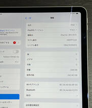 【送料無料】中古美品 iPad Air 10.9インチ 第5世代 Wi-Fi 256GB 2022年春モデル MM9P3J/A スターライト_画像3