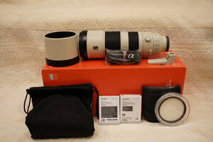 【中古 美品】SONY FE 200-600mm F5.6-6.3 G OSS　外箱備品付　95mmプロテクター、フィルターおまけ