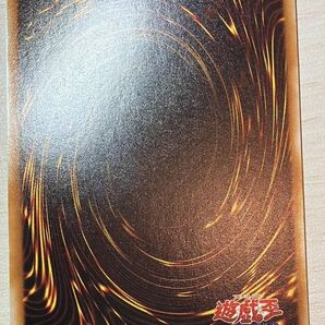 遊戯王 初期 vol 5. ウルトラレア コンプリートの画像8