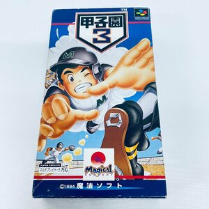 SFC スーパーファミコン ソフト 甲子園3 箱付説なし 起動確認済