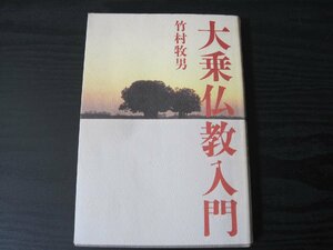 ●大乗仏教入門　/　竹村牧男　/　佼成出版社■初版