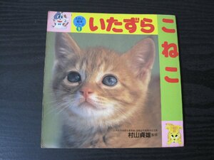 たのしい絵本シリーズ 1　いたずら　こねこ　/村山貞雄 監修　永岡書店　