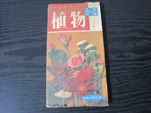 学生ポケット図鑑 　植物　/　鈴木俊一　/　ひかりのくに昭和出版刊