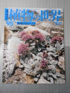 植物の世界 95　（週刊朝日百科）　/　極地・高山ツンドラ /　朝日新聞社　
