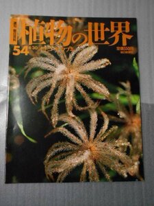 植物の世界 54　（週刊朝日百科）　/　イチゴ　ヤマブキ /　朝日新聞社　