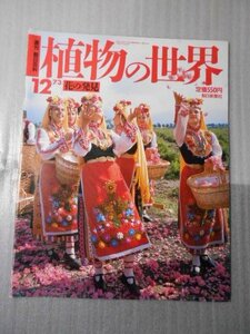 植物の世界 12　（週刊朝日百科）　/　花の発見 /　朝日新聞社　