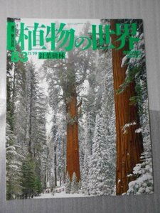 植物の世界 83　（週刊朝日百科）　/　針葉樹林 /　朝日新聞社　