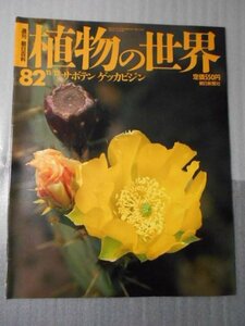 植物の世界 82　（週刊朝日百科）　/　サボテン　ゲッカビジン /　朝日新聞社　