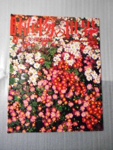 植物の世界 8　（週刊朝日百科）　/　キクの園芸品種 /　朝日新聞社　