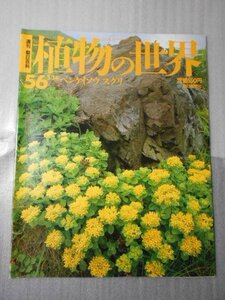 植物の世界 56　（週刊朝日百科）　/　ベンケイソウ　スグリ /　朝日新聞社　