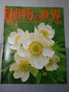 植物の世界 93　（週刊朝日百科）　/　イチリンソウ　キンポウゲ /　朝日新聞社　