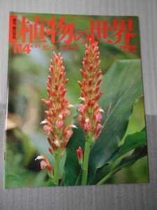 植物の世界 114　（週刊朝日百科）　/　カンナ　ショウガ /　朝日新聞社　