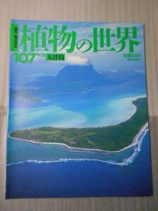 植物の世界 107　（週刊朝日百科）　/　大洋島 /　朝日新聞社　