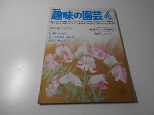 NHK　趣味の園芸　昭和57年4月　エビネとシラン　ヒラドツツジ　スイセンのいろいろ　チューリップ　　　日本放送出版協会