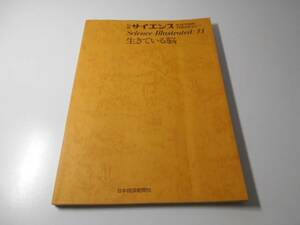 生きている脳　サイエンスイラストレイテッド１１　別冊サイエンス　　日本経済新聞社