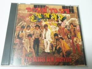 BORN TO BE FUNKY　/　THE BUBBLE GUM BROTHERS　（バブルガムブラザーズ）　/CD