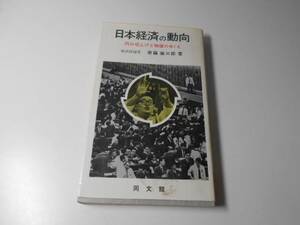 ●日本経済の動向　円の切上げと物価のゆくえ　　齋藤榮三郎　　同文舘