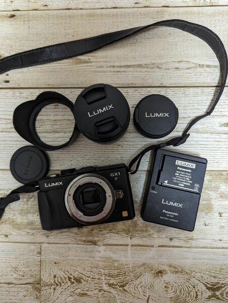 LUMIX GX1