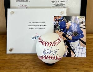 doja-s large . sho flat player. same .* Yamamoto ... hand autograph autograph ball * low ring sMLB official contest ball *JSA judgment document * free shipping * Japan domestic sending 
