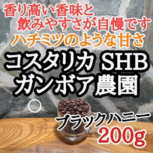 自家焙煎 コーヒー豆 注文後焙煎 コスタリカ SHB ブラックハニー 200g #はなまる珈琲